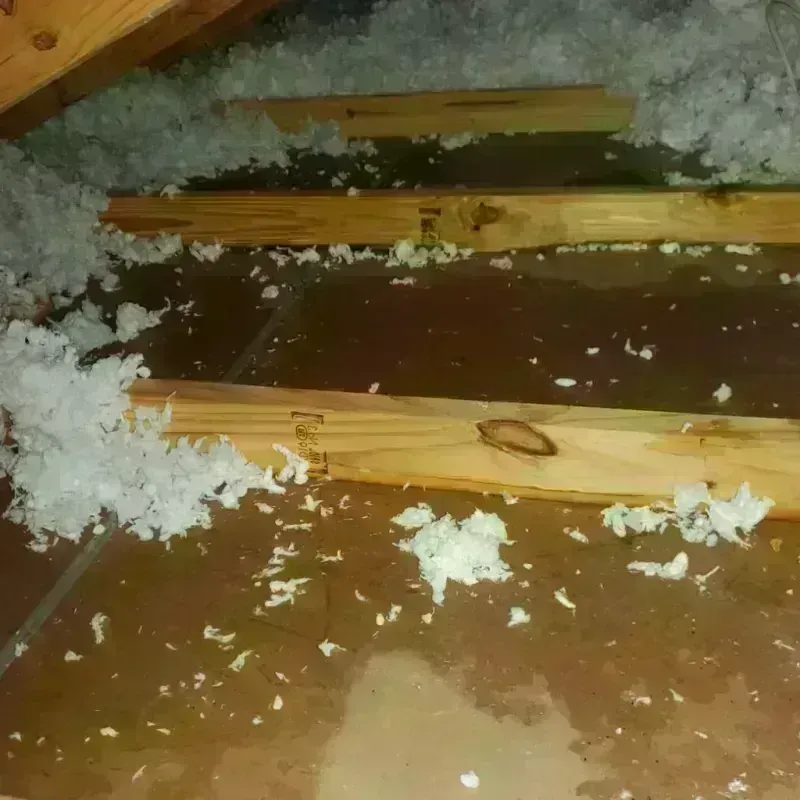 Attic Water Damage in Sturbridge, MA